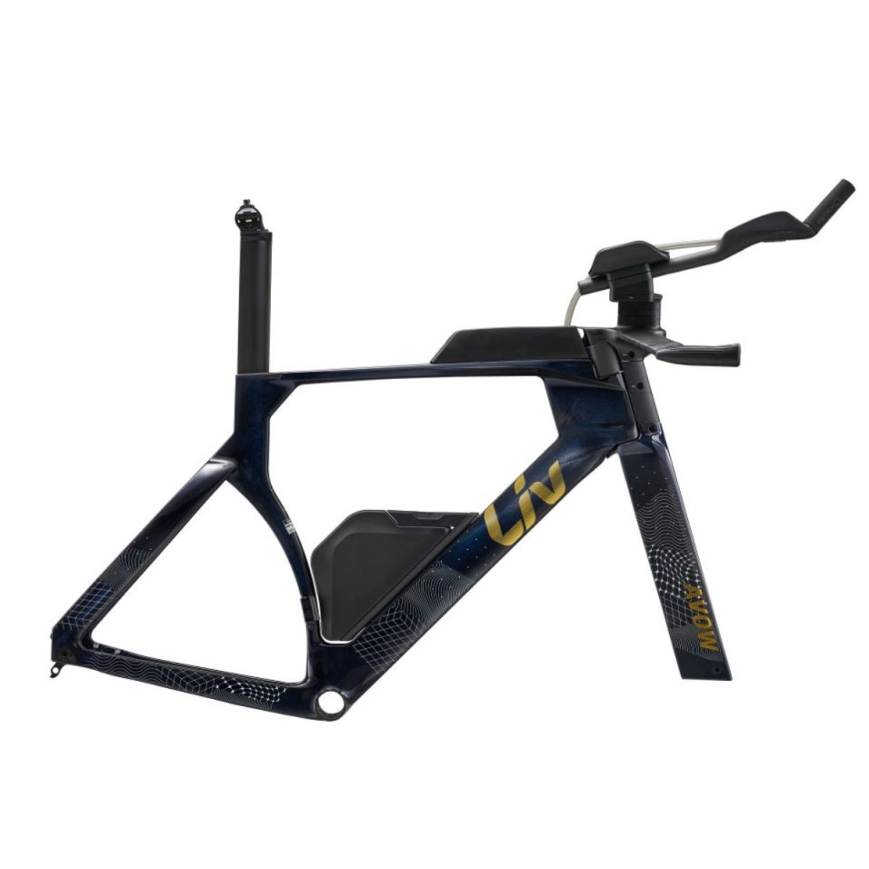 Cuadro Liv Avow Advanced SL Tri 25