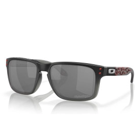 Ulleres Oakley Holbrook TLD...
