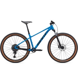 Giant Talon 1 29 2026 Fahrrad
