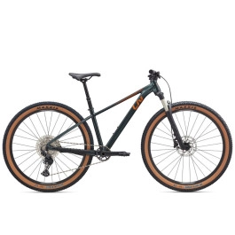 Bicicleta Liv Tempt 29 0 25