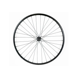 Coppia Alloy Tubeless in...