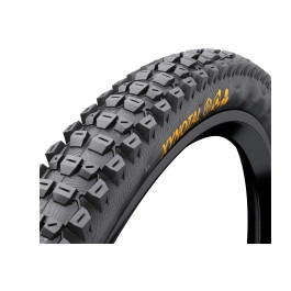 Continental Xynotal Trail...