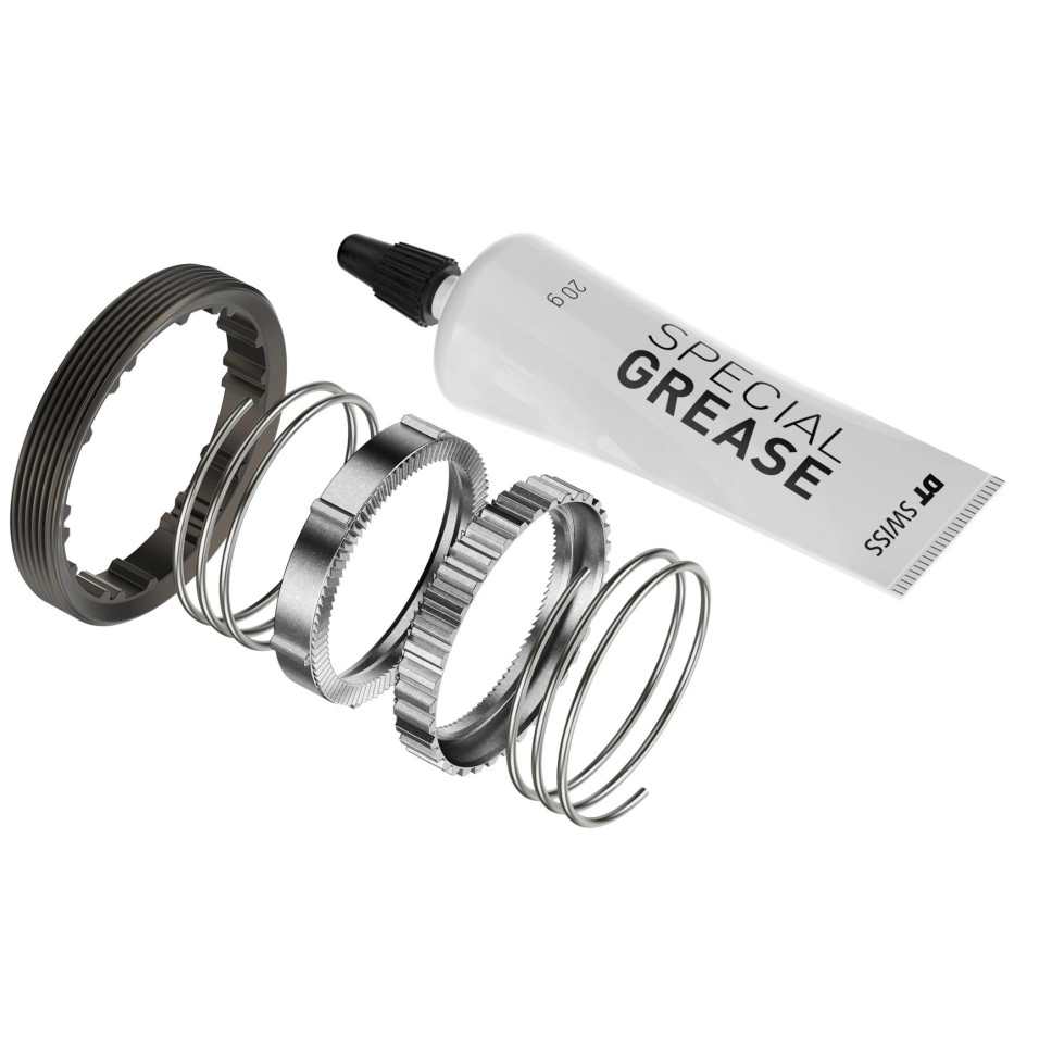 Kit Servicio Dt Swiss Ratchet DEG 90T DF 0/10/20