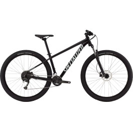 Bicicletta Specialized...