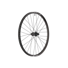 Ruota posteriore DT Swiss...
