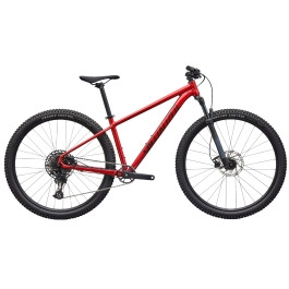 Bicicletta Specialized...