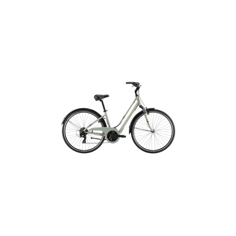 Vélo Liv Flourish FS3 25