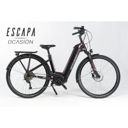 Bicicletta Bergamount...