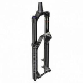 Rock Shox Domain RC Gabel