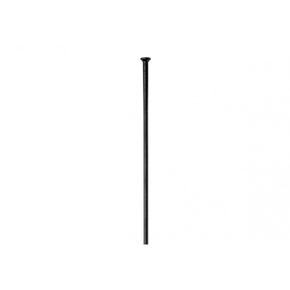 DT Swiss Champion Straight Pull 2.0 Felgenspeichen (1Ud)