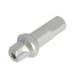 Mamelon Radio Dt Swiss...