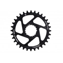 Plato Leonardi Gecko Capo...