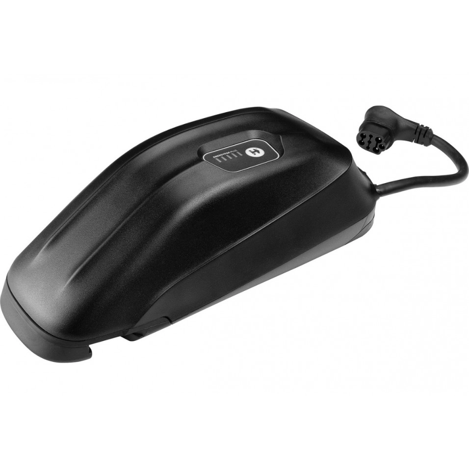 Giant EnergyPak Plus 250Wh Akku