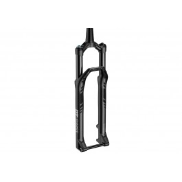 DT Swiss F 232 ONE 29 Boost...