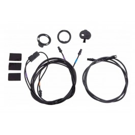 Câble Campagnolo vers...