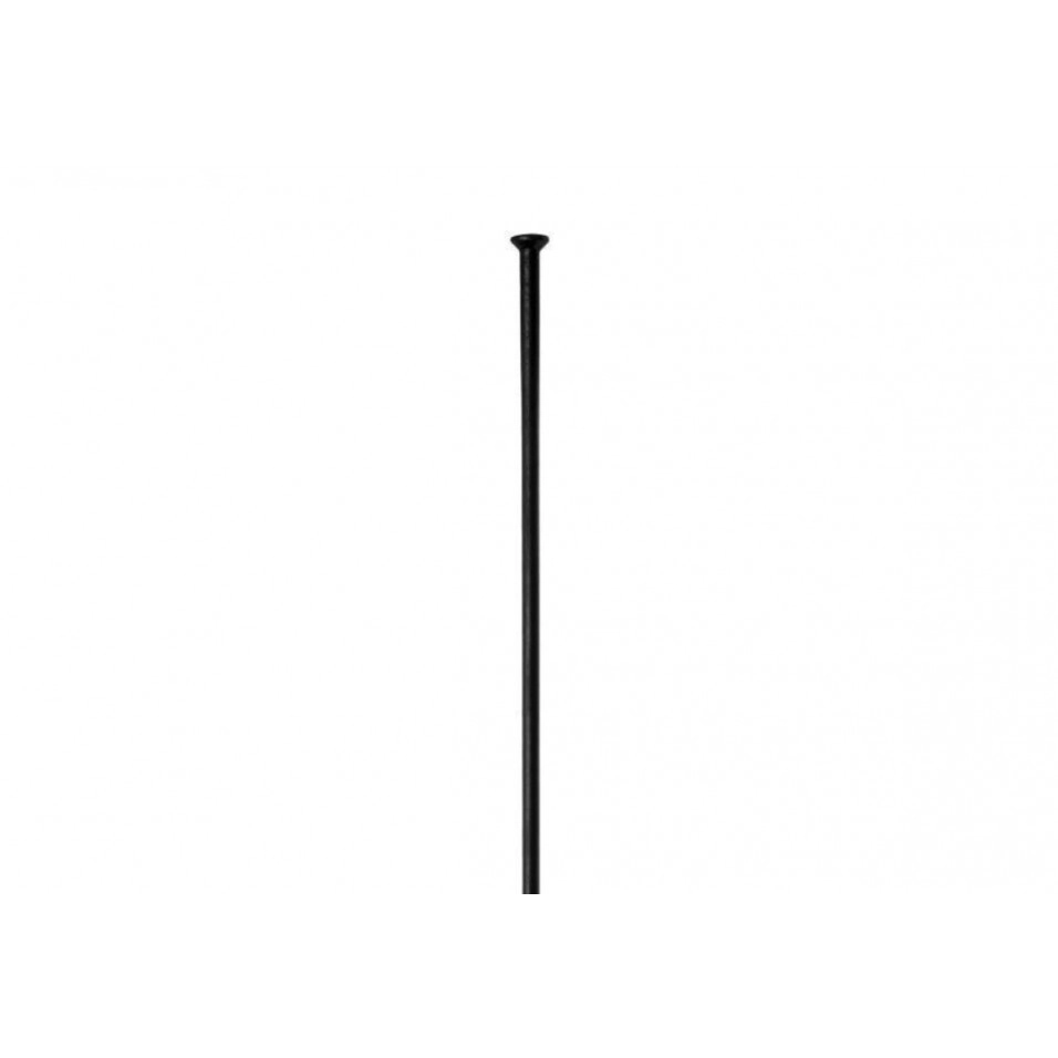 Specialized DT Roval Competition SP Radio