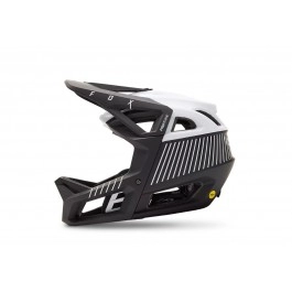 Fox Proframe RS Mash Helm