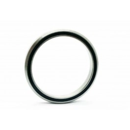 ISB Lager HS2 4252H7 2RS...