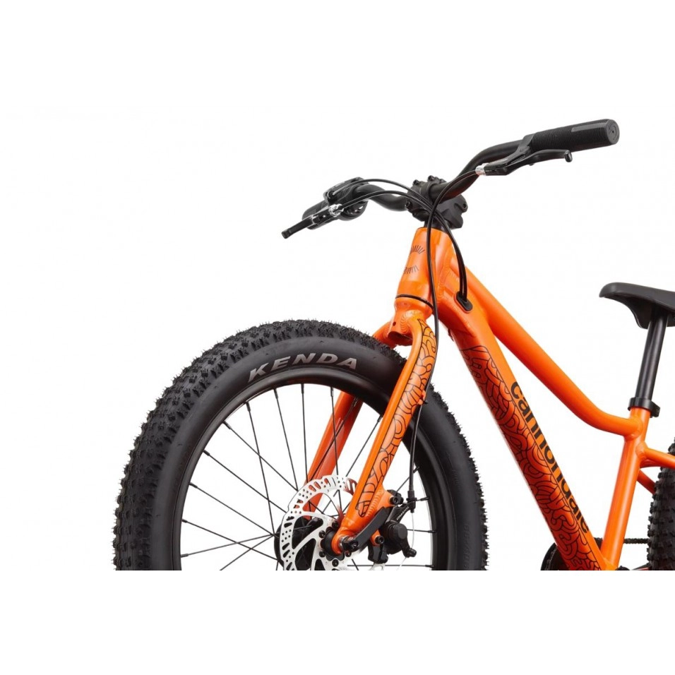 cannondale 20
