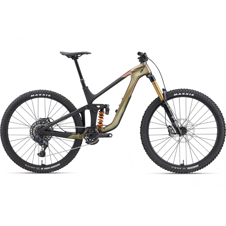 Giant Reign Advanced Pro 0 24 Fahrrad