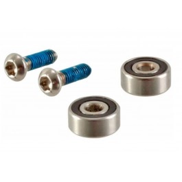 Kit Rodamientos/Tornillos...