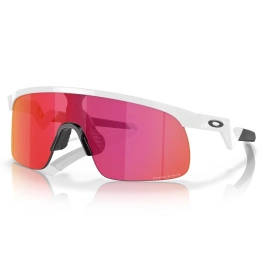 Oakley Resistor Prizm Brillen