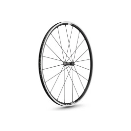 Ruota anteriore DT Swiss P...