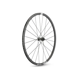 Ruota anteriore DT Swiss P...