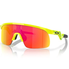 Occhiali Oakley Resistor...
