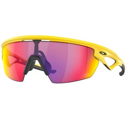 Lunettes de route Oakley...