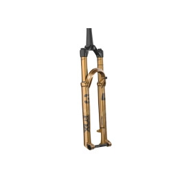 Fourches Specialized Biciescapa