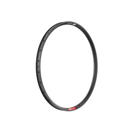 Jante DT Swiss FR 541 29x30...