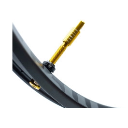 Valve Tubeless Panzer 48mm...